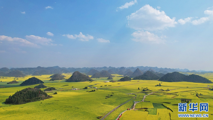 春日罗平，油菜花海与山峦、村寨勾勒出一幅田园春景图（摄于2月22日）。新华网发（杨紫轩 摄）