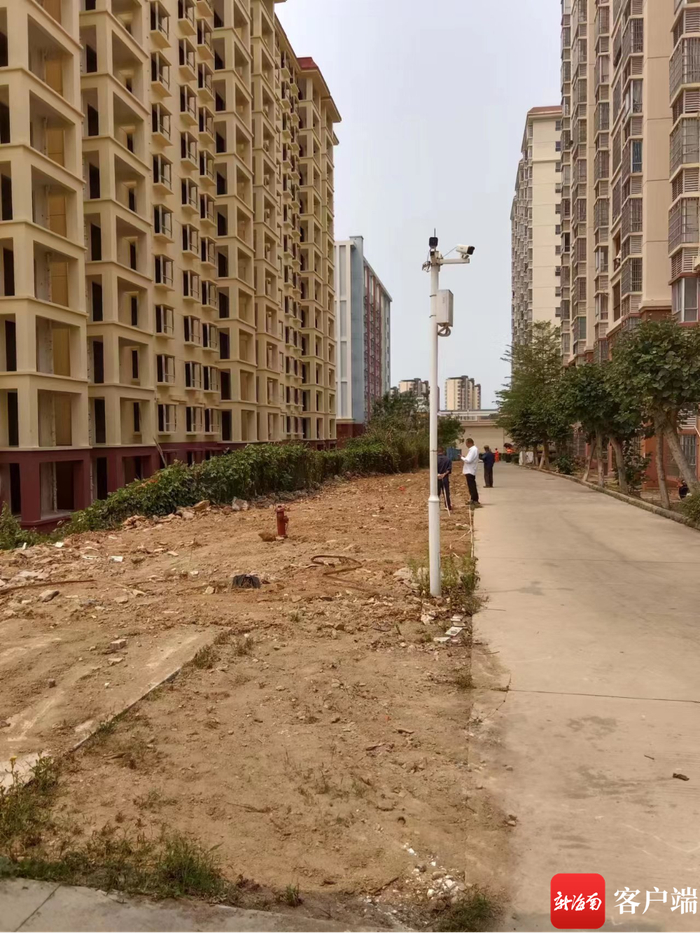 整改前居民在小区内擅自种植蔬菜，此图为整改时的照片。和悦小区物业供图