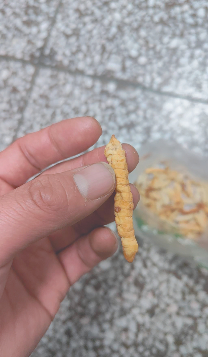     嫌疑人用地牯牛假冒的“雪虫” 警方供图