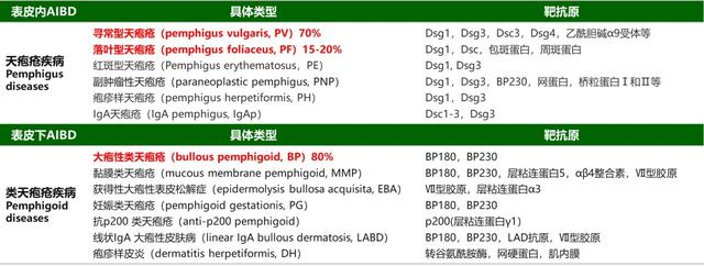 图｜自身免疫性大疱性皮肤病的分类及靶抗原