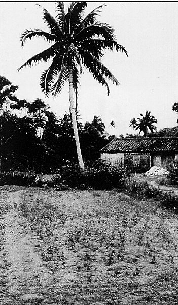 资料图：红色娘子军训练场。图源海南日报