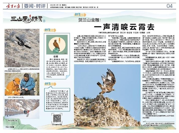 重磅策划·三山里的精灵⑧ 丨贺兰山金雕:一声清唳云霄去_新浪新闻