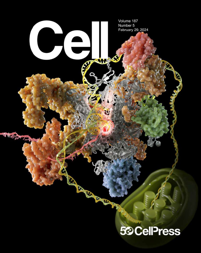 CELL封面：上海科学家破解迄今最复杂基因转录机器结构，八年推开“叶绿体工厂”研究新大门_新浪新闻