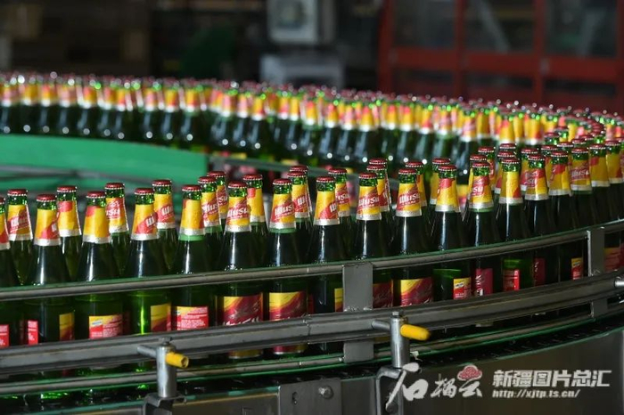 新疆乌苏啤酒有限责任公司生产线。企业供图