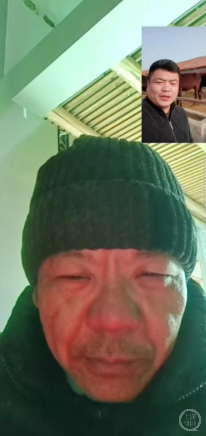 “二民”和陆先生视频连线看驴。受访者供图