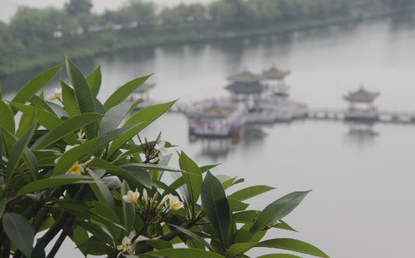 △图源 星湖美美