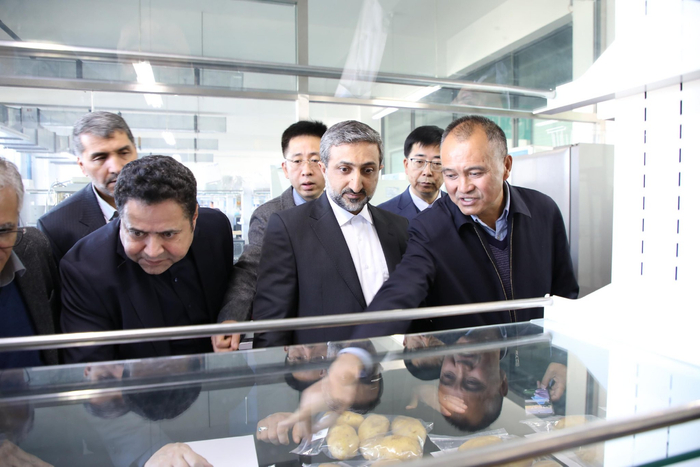 王舰为伊朗阿尔达比勒省外宾介绍我省马铃薯薯种。省农林科学院供图