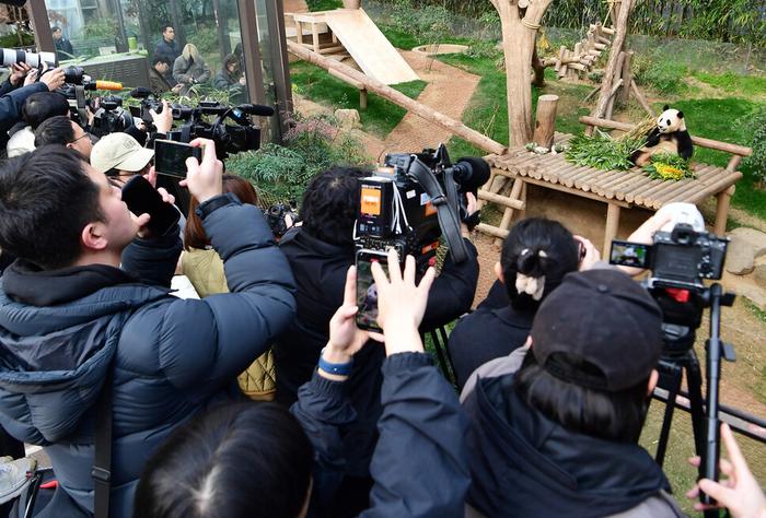 韩媒：韩国民众不舍告别“福宝”，不少游客排队4小时，限看5分钟