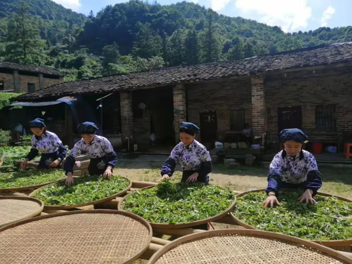 △图源 多彩肇庆