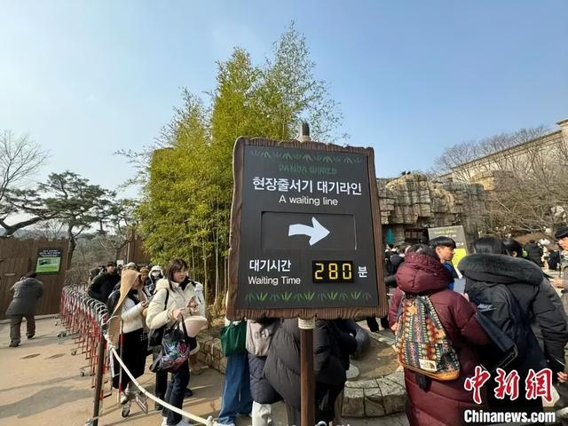3月3日，游客在爱宝乐园熊猫世界外排队。中新社记者 　刘旭 　摄