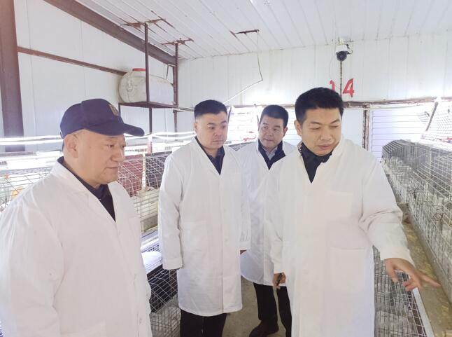 中国人寿财险聊城中心支公司工作人员（右一）在了解兔子养殖情况。 崔广勋/摄