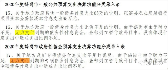 截图自《2020年度鹤岗市财政总决算强审说明》