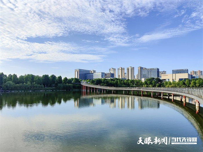 贵州生态魔方⑤|"五"动未来 "森"罗万象|贵州省_新浪新闻