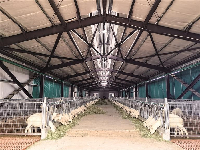 渭南产投农业产业振兴发展有限公司的标准化羊舍（二月二十九日摄）。