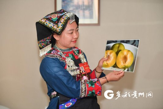 全国人大代表卢丹向记者展示蜂糖李照片