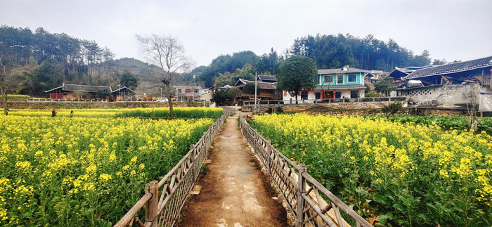 　　困牛山村