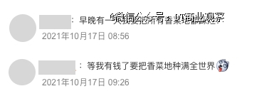 （踩烂香菜 VS 种满香菜，图源微博）