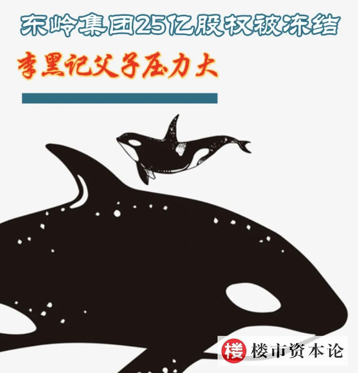 东岭集团25亿股权被冻结,李黑记父子压力大|李黑|物资