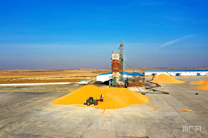 乡村振兴看内蒙古|科学储粮守住"天下粮仓"_新浪新闻