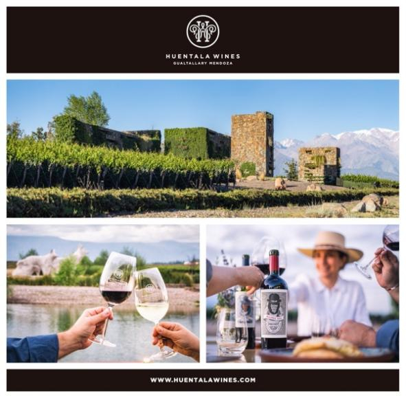 葡萄酒|葡萄|波尔多_新浪新闻