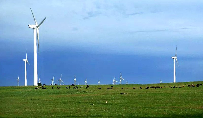 锡林郭勒草原上的风电景象.
