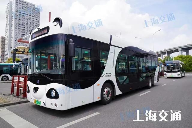 上海街头的"显眼包"居然是公交车……|公交车|上海公交|熊猫_新浪新闻