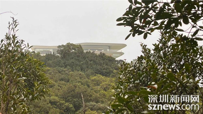 蓝色的天空笼罩着整个图书馆，远远望去，就像一座立在云端的天空之城。杨杰龙 摄