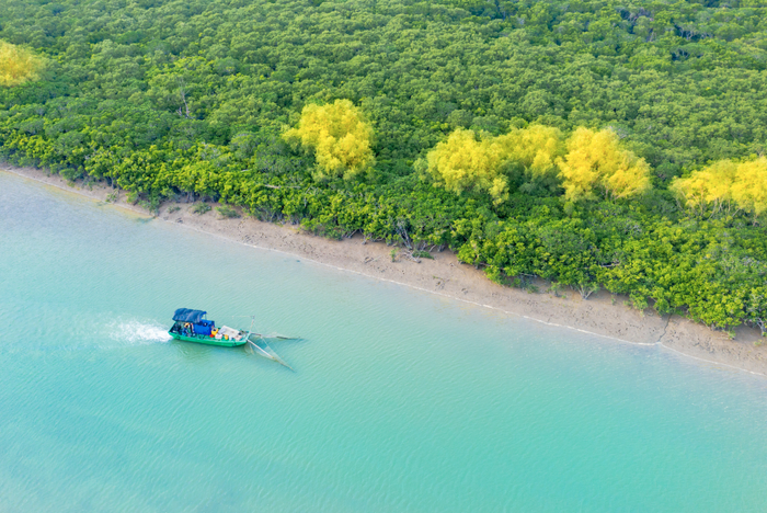 一艘小船游于北潭红树林。蓝伟强摄