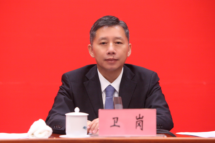 全国人大代表,云南省德宏傣族景颇族自治州委副书记,州长卫岗.