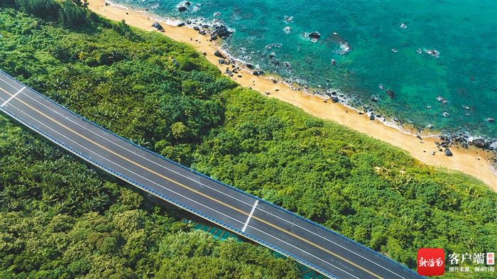 依山伴海的万宁正门岭大桥路段，两旁林木郁郁葱葱。杨师忠 摄