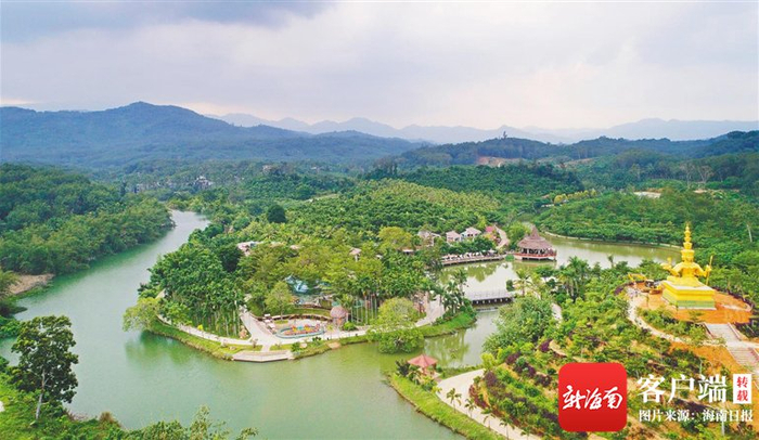 俯瞰兴隆咖啡谷。万宁市融媒体中心供图