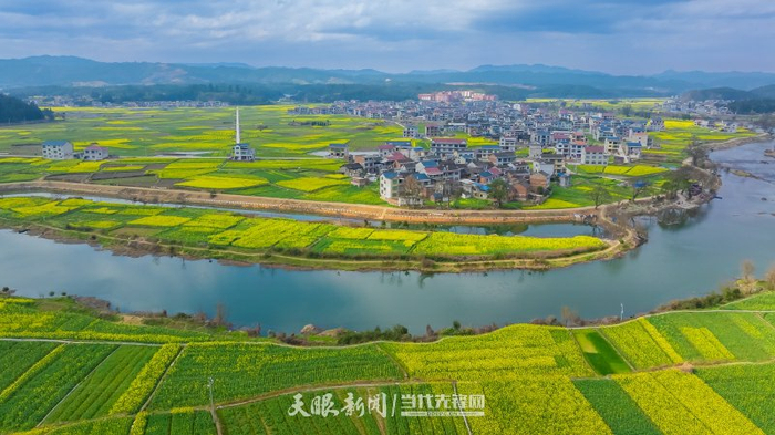 锦屏县敦寨镇亮司村，河流、田野、树木、绽放的油菜花与民居交相辉映，犹如一幅幅彩色的地毯，构成美丽的乡村画卷。李必祥 摄