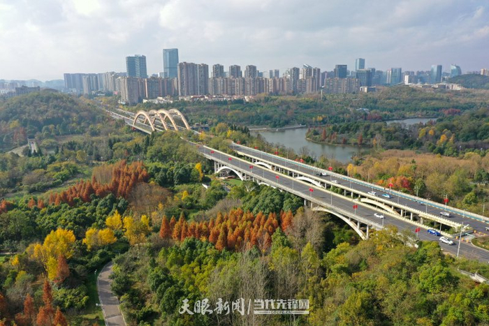 贵阳市观山湖公园在阳光的照耀下,层林尽染五彩缤纷,宛若一幅幅画卷美不胜收。乔啟明 摄