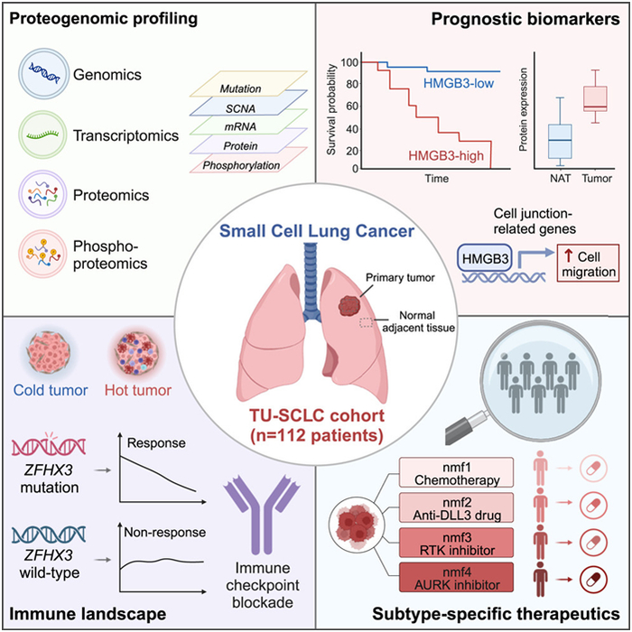 图片来自Cell, 2024, doi:10.1016/j.cell.2023.12.004