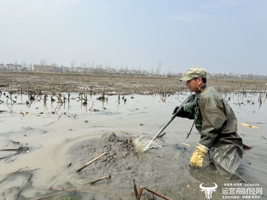 赵道凯扛着水泵下水准备打藕。刘浩 | 摄