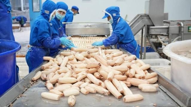 华贵食品有限公司生产厂区。受访者供图 