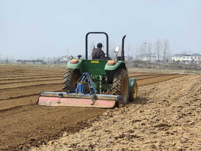 大林镇十门村村民在耕地、施肥种植红甜菜。李玉荣摄