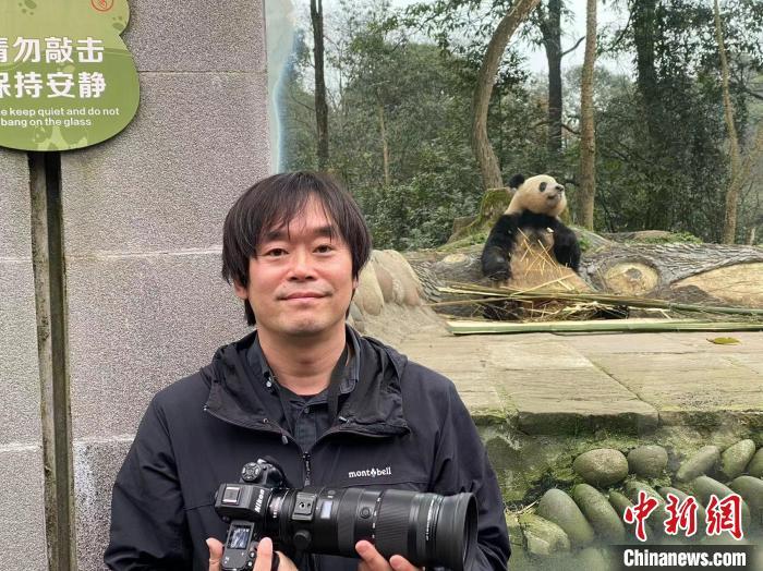 日本大熊猫摄影师高氏贵博在中国大熊猫保护研究中心雅安基地拍摄大熊猫“香香”。(资料图，受访者供图)