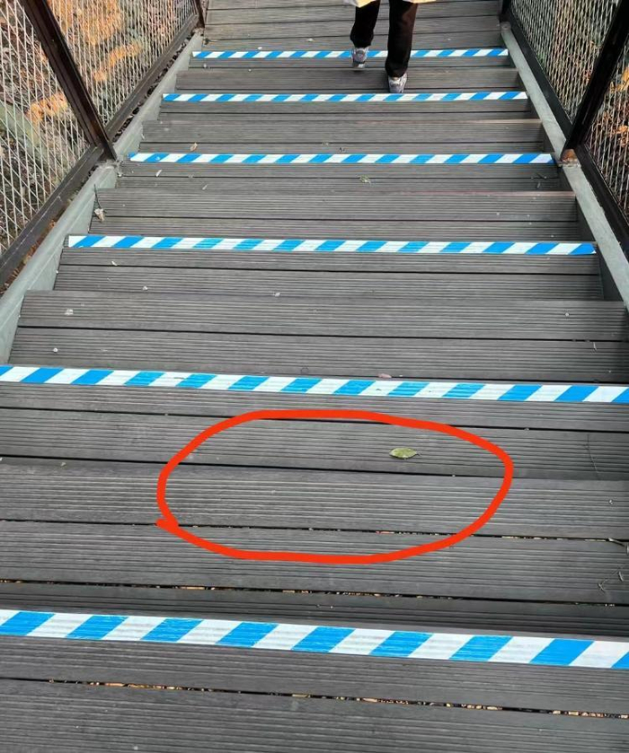 网友吐槽下山台阶反光条隔一级才有，容易忽视中间的台阶（红圈处）。