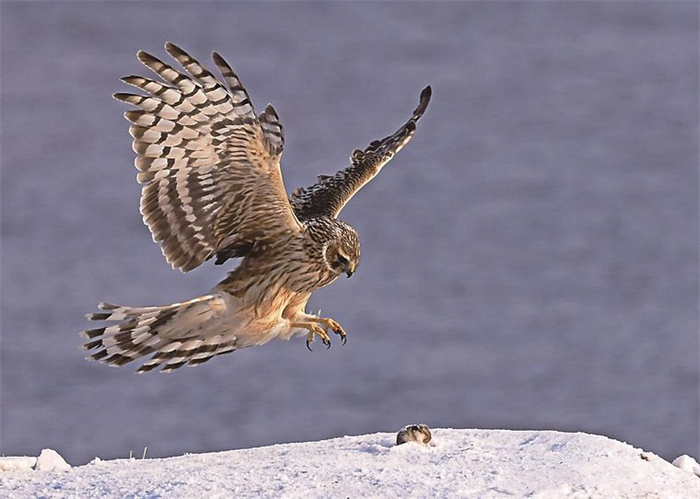 徐建国 摄(资料图片)