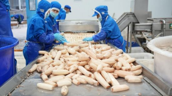 华贵食品有限公司生产厂区。受访者供图