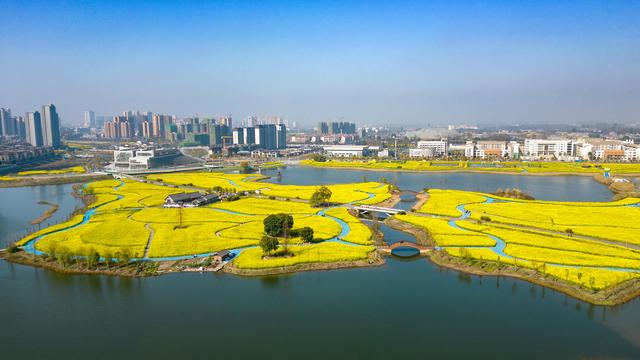 ▲四川省眉山市彭山区五湖四海湿地公园 图据视觉中国