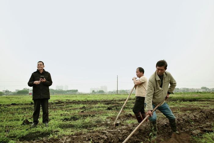   在玉林市福绵区千亩富硒水稻核心示范区内，蒋拥发（左）在田间指导春耕作业。新华社记者李欢 摄