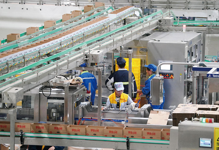 河北威县君乐宝