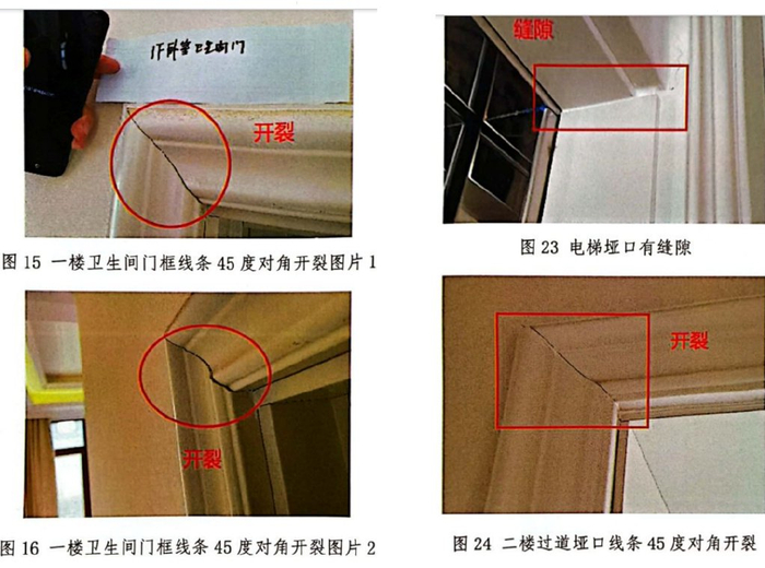 图源：鉴定意见书