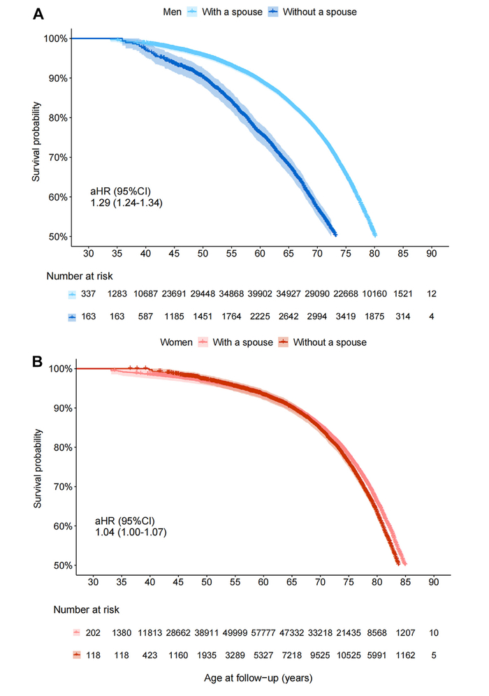 图3. 有无伴侣患者的死亡风险