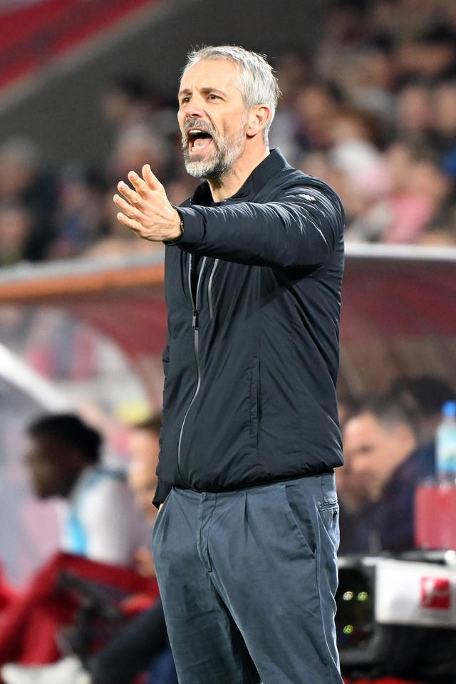 3月15日，莱比锡队主教练罗泽在场边指挥。新华社发（乌尔里希·胡夫纳格尔摄）