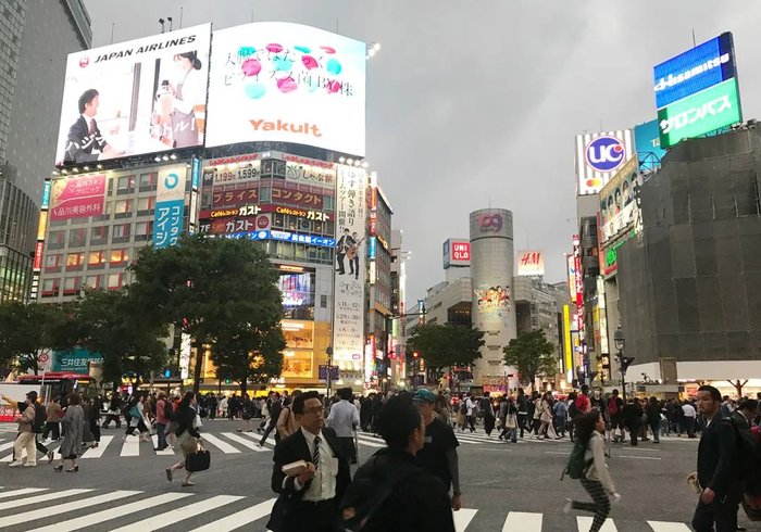 图片来源：每经记者 余蕊均 摄