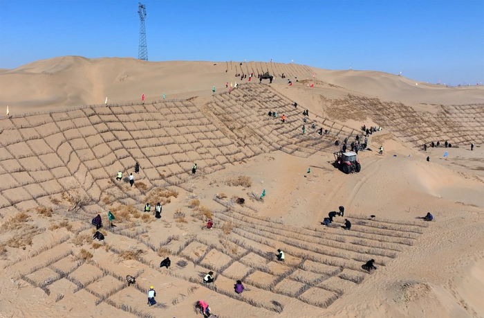 治沙植绿 内蒙古黄河"几字弯"筑牢北疆绿色长城|内蒙古|库布其沙漠