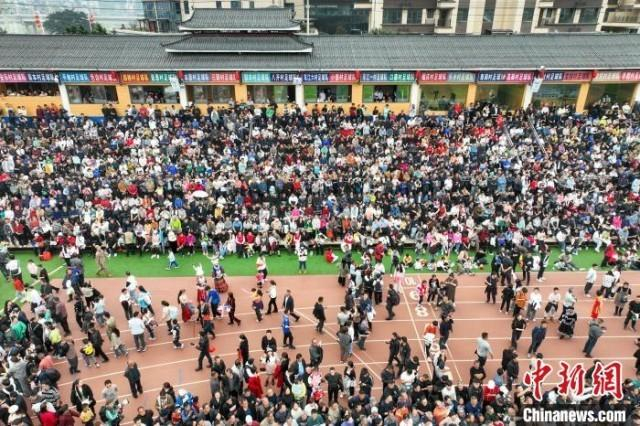 航拍现场观众座无虚席。中新网记者 瞿宏伦 摄